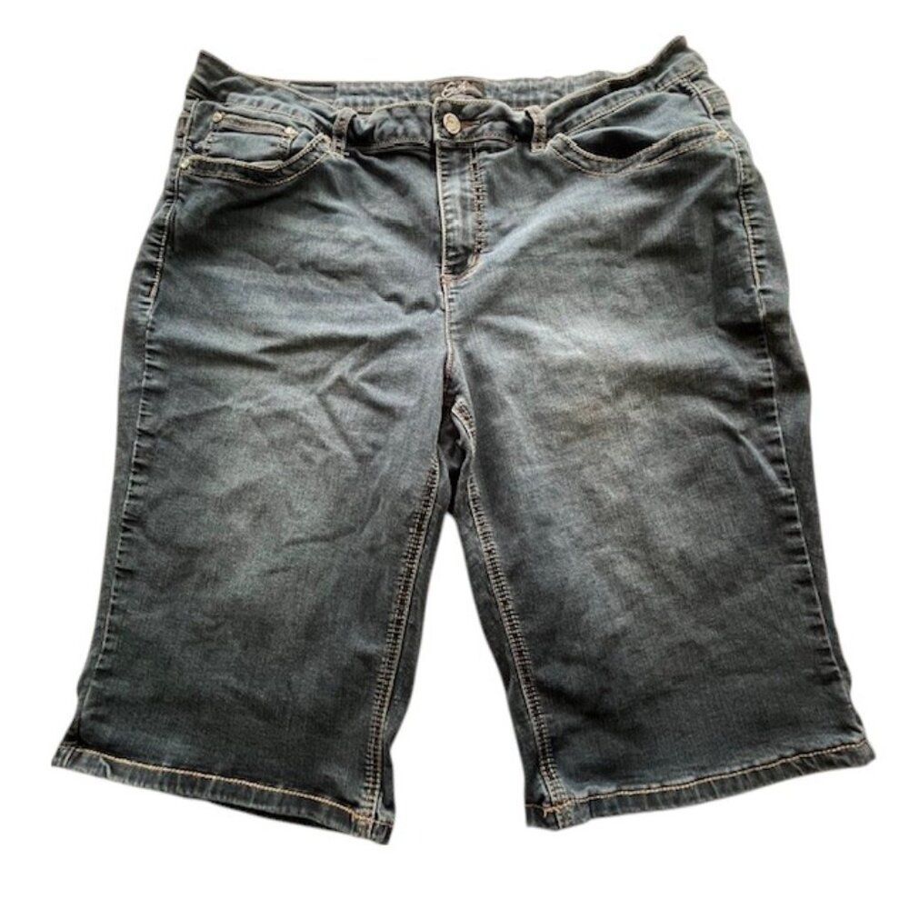 Earl Jeans Dark Wash Jean Shorts- Size 20W